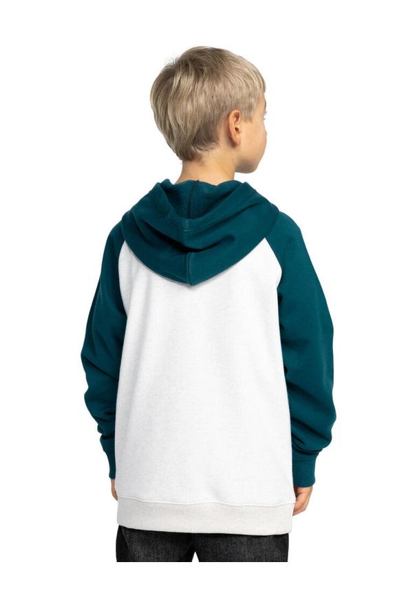 DC Shoes - Bluza z kapturem dla Chłopcy DC CORPO Niebieski. Typ kołnierza: kaptur. Kolor: niebieski. Materiał: materiał, poliester, bawełna. Sport: skateboard