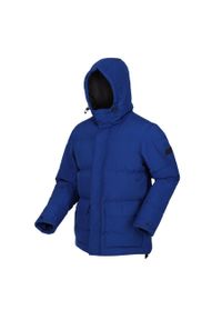 Regatta - Kurtka turystyczna męska Falkner pikowana. Typ kołnierza: kaptur. Kolor: niebieski. Materiał: poliester. Sport: turystyka piesza #1
