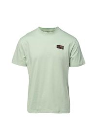 Iguana - T-shirt Męski Igwezi. Kolor: zielony