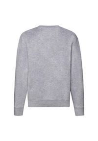FRUIT OF THE LOOM - Męska Bluza Rozpinana Premium. Kolor: szary