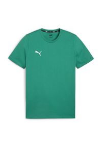 Koszulka męska Puma Team Goal Casuals Tee. Kolor: zielony. Materiał: materiał. Sport: piłka nożna