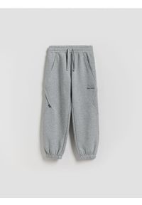 Reserved - Ocieplane spodnie cargo - jasnoszary. Kolor: szary. Materiał: bawełna, dzianina #1