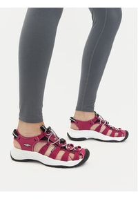 keen - Keen Sandały Astoria West Sandal 1030147 Różowy. Kolor: różowy. Materiał: materiał #5