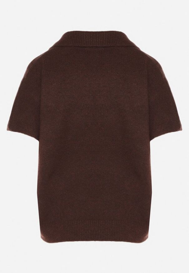 Born2be - Brązowy Sweter z Wełną z Krótkim Rękawem i Kołnierzykiem Tevalina. Kolor: brązowy. Materiał: wełna. Długość rękawa: krótki rękaw. Długość: krótkie. Styl: klasyczny, elegancki
