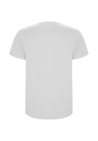 ROLY - Męska Koszulka Stafford. Kolor: biały. Sport: turystyka piesza #2