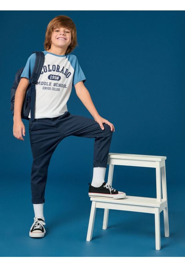 Sinsay - Koszulka - biały. Kolor: biały. Materiał: bawełna. Długość rękawa: krótki rękaw. Długość: krótkie. Wzór: nadruk