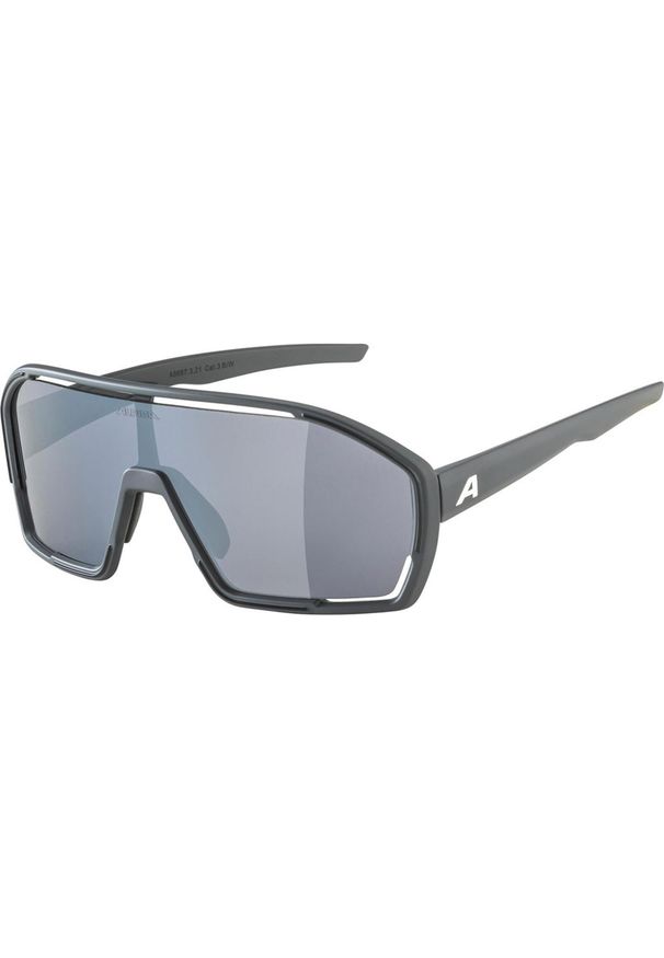 Alpina - Okulary sportowe Bonfire ALPINA FOGSTOP szary. Kolor: czarny
