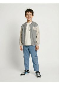 Sinsay - Kurtka bejsbolówka - szary. Kolor: szary #1