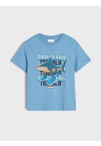 Sinsay - Koszulka loose z nadrukiem Brainrot - niebieski. Kolor: niebieski. Wzór: nadruk #1