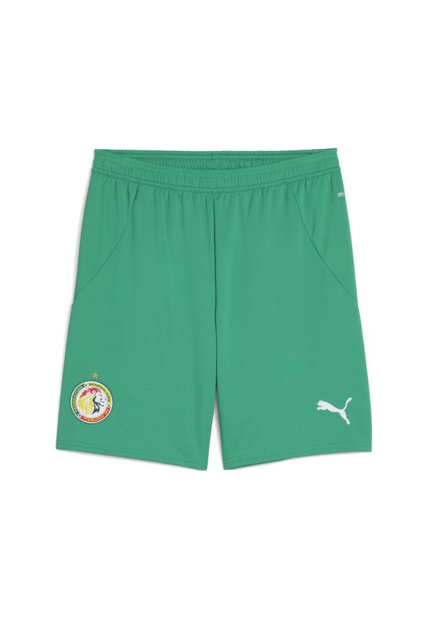 Puma - Męskie szorty Senegal 2025 PUMA Sport Green White. Kolor: zielony, biały, wielokolorowy. Wzór: aplikacja. Sport: piłka nożna
