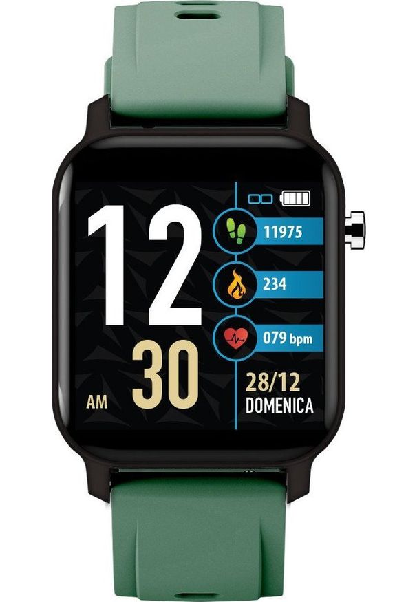 Smartwatch Techmade TM-TWX-GR Zielony. Rodzaj zegarka: smartwatch. Kolor: zielony