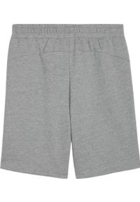 Spodenki sportowe męskie Puma teamGOAL Casuals. Kolor: szary