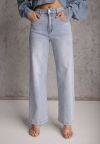 Renee - Jasnoniebieskie Jeansy Straight Leg High Waist z Bawełną Erivera. Stan: podwyższony. Kolor: niebieski. Wzór: gładki. Styl: klasyczny #6