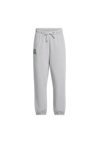 Spodnie damskie Under Armour Icon Heavyweight Terry Oversized. Kolor: szary. Sport: fitness