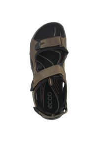 ecco - Buty do chodzenia męskie Ecco Offroad. Zapięcie: rzepy. Kolor: brązowy. Materiał: guma, skóra. Sport: turystyka piesza
