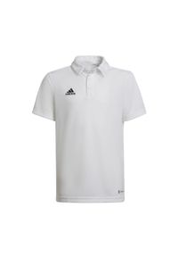 Adidas - Koszulka polo piłkarska dla dzieci adidas Entrada 22 Polo. Typ kołnierza: polo. Kolor: biały. Sport: piłka nożna