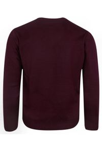 Męski Sweter z Wełną - Devir - V-neck - Bordowy. Okazja: na spotkanie biznesowe, do pracy, na co dzień. Typ kołnierza: dekolt w serek. Kolor: czerwony. Materiał: akryl, wełna. Styl: biznesowy, casual, wizytowy, klasyczny #3