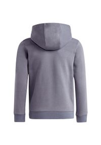 Adidas - Bluza dla dzieci adidas Tiro 23 League Sweat Hoodie. Kolor: biały, wielokolorowy, szary