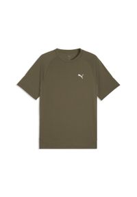 Puma - Męska koszulka Evostripe PUMA. Kolor: zielony #1