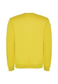 ROLY - Bluza Dziecięca Clasica Z Okrągłym Dekoltem. Kolor: żółty