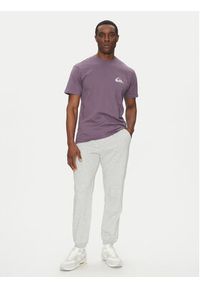 Quiksilver Spodnie dresowe Salt Water EQYFB03391 Szary Regular Fit. Kolor: szary. Materiał: bawełna #4