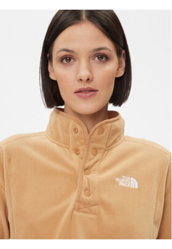 The North Face Polar Homesafe NF0A8565 Brązowy Regular Fit. Kolor: brązowy. Materiał: syntetyk