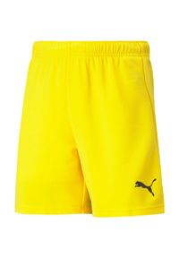 Spodenki piłkarskie dla dzieci Puma teamRISE Short Jr. Kolor: żółty, wielokolorowy, pomarańczowy, czarny