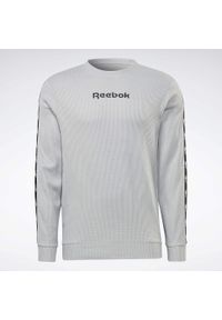 Bluza sportowa męska Reebok HZ3322. Kolor: wielokolorowy, szary