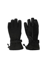 Rękawice narciarskie Whistler Fenwick. Kolor: czarny. Sezon: zima. Sport: narciarstwo #1