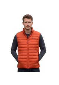 Kamizelka turystyczna męska Jack Wolfskin Cloudy Peak. Kolor: brązowy. Materiał: poliamid. Długość rękawa: bez rękawów. Sport: turystyka piesza #1