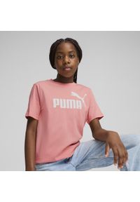 Puma - Młodzieżowa koszulka ESS z logo No. 1 PUMA Pink Fruit. Kolor: różowy. Materiał: bawełna. Sport: joga i pilates