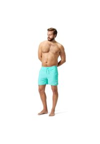 Spodenki szorty męskie kąpielowe Speedo Essentials Watershorts. Kolor: zielony