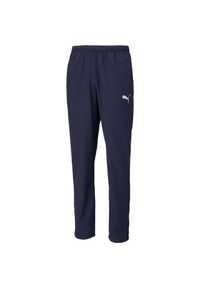 Spodnie męskie Puma teamRISE Sideline Pants. Kolor: biały, wielokolorowy, niebieski