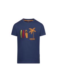 TRESPASS - T-shirt Dla Chłopca Alltown. Kolor: wielokolorowy, niebieski, szary