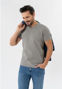 Volcano - Gładka koszulka TM-MODE. Kolor: szary. Materiał: materiał, bawełna. Długość rękawa: krótki rękaw. Długość: krótkie. Wzór: gładki. Styl: klasyczny #1