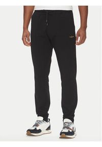 Aeronautica Militare Dres 251TF086F459 Czarny Regular Fit. Kolor: czarny. Materiał: bawełna