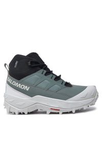 salomon - Salomon Trekkingi Crosstrak Waterproof L47570400 Zielony. Kolor: zielony. Materiał: materiał