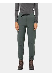 Jack Wolfskin Spodnie outdoor Wandermood Pants 1508441 Zielony Regular Fit. Kolor: zielony. Materiał: syntetyk. Sport: outdoor #1