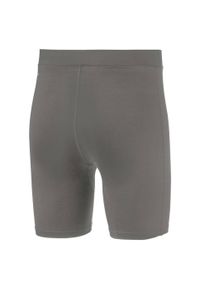 Puma - Spodnie Męskie Liga Base Layer. Kolor: szary