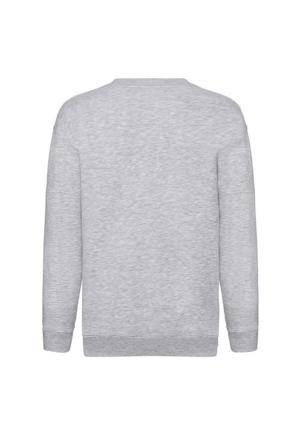 FRUIT OF THE LOOM - Sweter Premium Dla Dzieci. Kolor: szary. Sport: joga i pilates