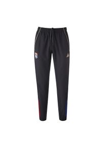 Adidas - Spodnie dresowe Prematch OL 2025/26. Kolor: czarny. Materiał: dresówka. Sport: piłka nożna