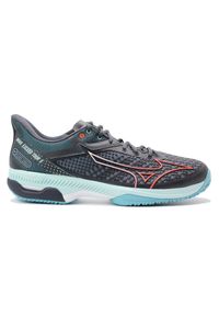 Buty do tenisa męskie Mizuno Wave Exceed Tour 5 CC. Kolor: czarny, niebieski, wielokolorowy, czerwony. Model: Mizuno Wave. Sport: tenis