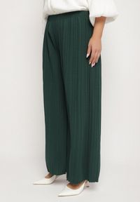 Born2be - Zielone Szerokie Spodnie z Plisowanej Tkaniny z Gumką w Pasie Cesele. Kolekcja: plus size. Kolor: zielony. Materiał: tkanina. Styl: elegancki