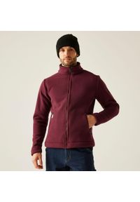 Regatta - Garrian II Męski polar turystyczny. Kolor: fioletowy. Materiał: polar. Styl: sportowy #1