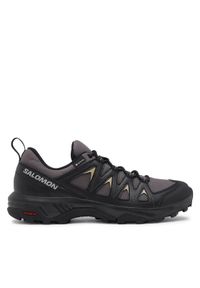 salomon - Salomon Trekkingi X Braze GORE-TEX L47180500 Szary. Kolor: szary. Materiał: syntetyk. Technologia: Gore-Tex. Sport: turystyka piesza #1