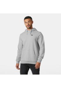 Bluza z kapturem Helly Hansen Core Graphic. Typ kołnierza: kaptur. Kolor: szary #1