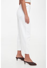 Pinko - Jeansy damskie Estelle PINKO #3