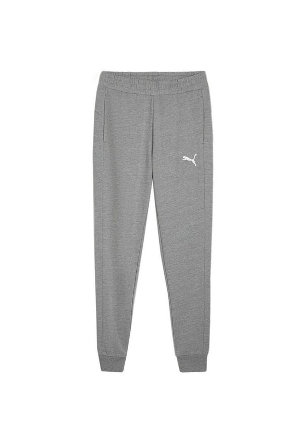 Puma - Męskie Spodnie Do Biegania Team Goal Casuals. Kolor: szary. Materiał: dresówka