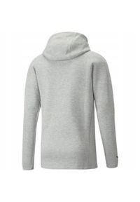 Puma - Męska Bluza Z Kapturem TeamFINAL Casuals Full Zip. Typ kołnierza: kaptur. Kolor: szary