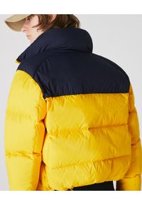 Lacoste - LACOSTE - Żółta kurtka puchowa z logo. Typ kołnierza: kaptur. Kolor: niebieski. Materiał: puch. Wzór: aplikacja #5